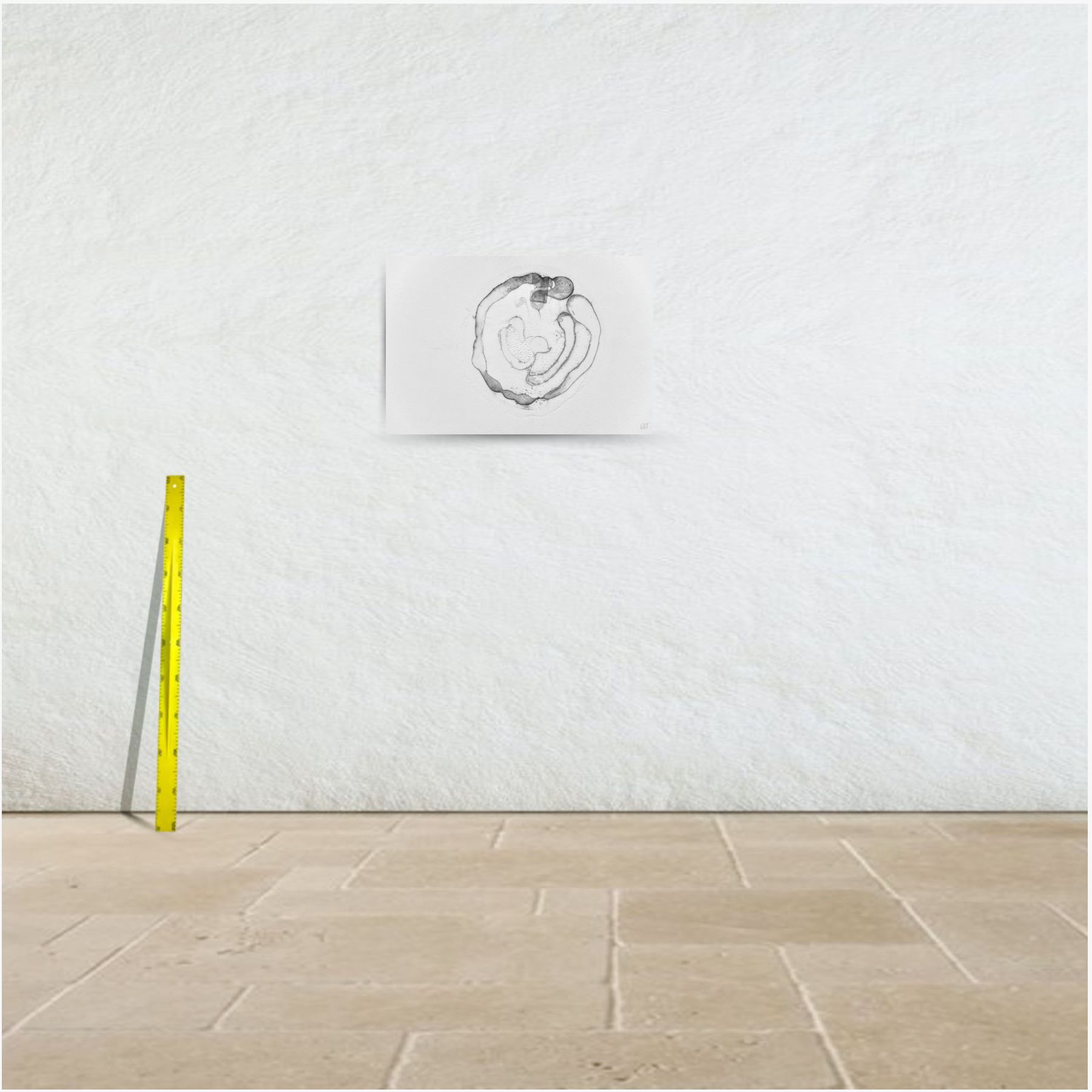 embryon 3-375556-222495 ~ tirage limité n° 4/20 (75 x 50 cm) – Image 3