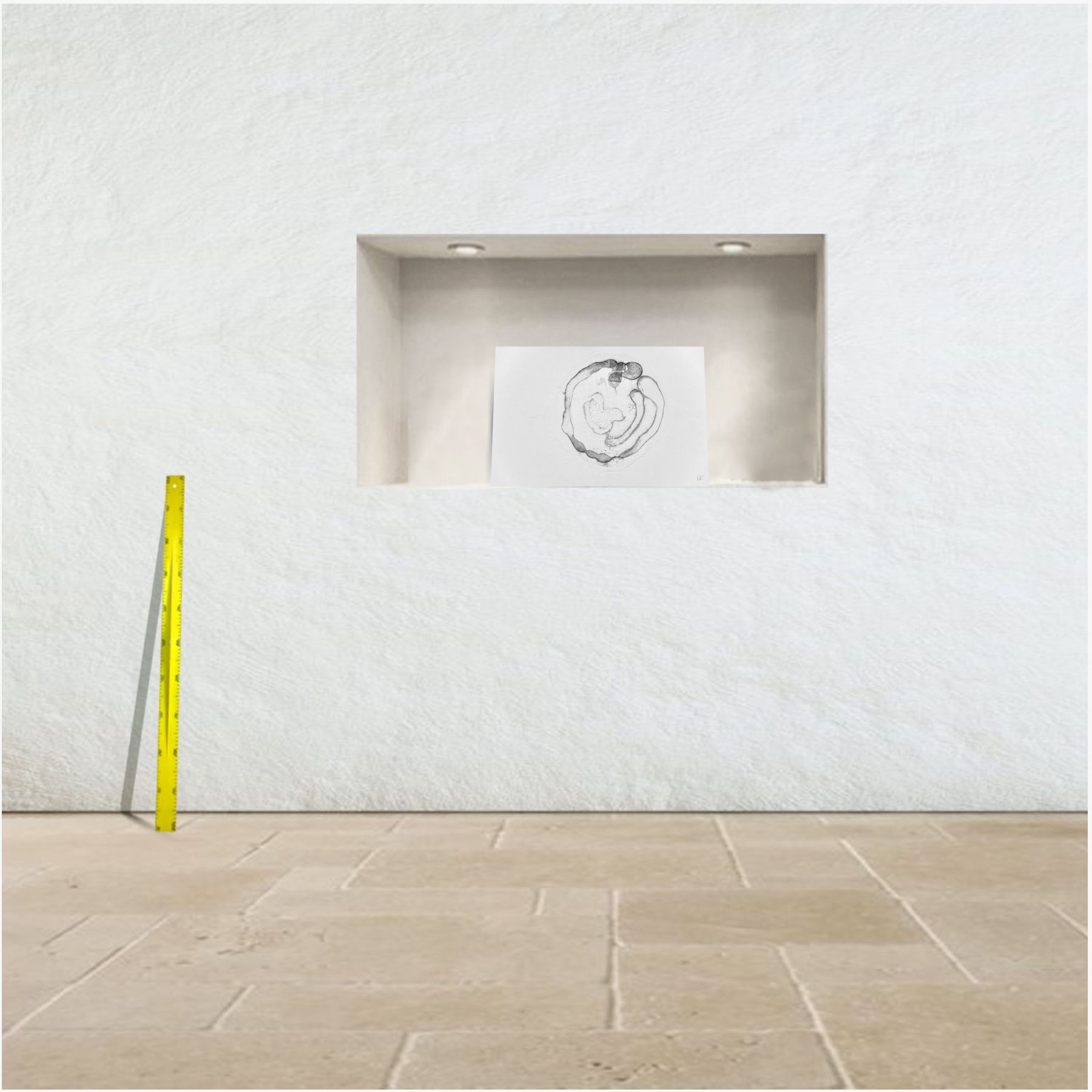 embryon 3-375556-222495 ~ tirage limité n° 4/20 (60 x 40 cm) – Image 3