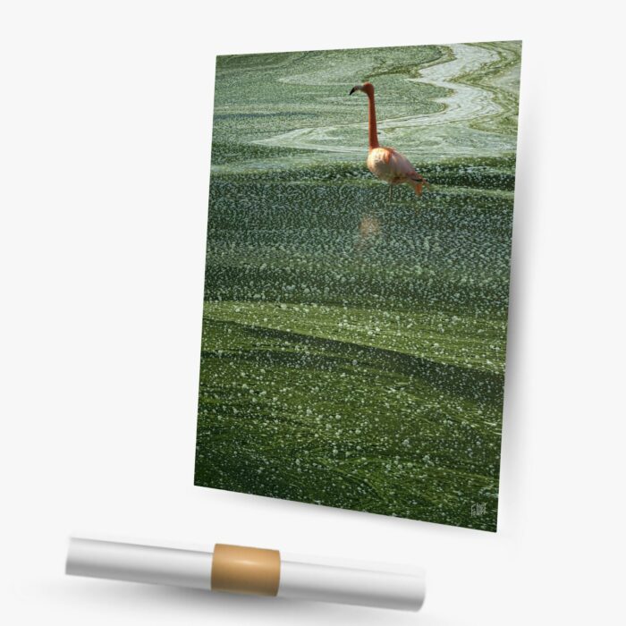 green lagoon ~ affiche (50 x 75 cm) – Image 2