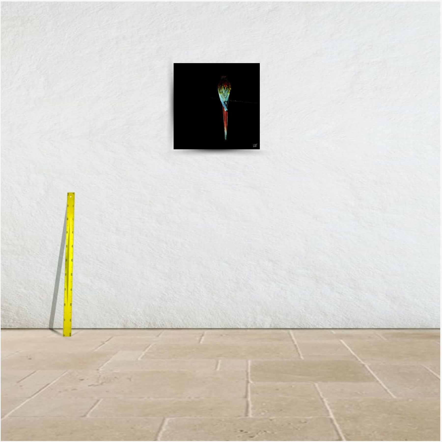 black parrot ~ affiche (60 x 60 cm) – Image 3