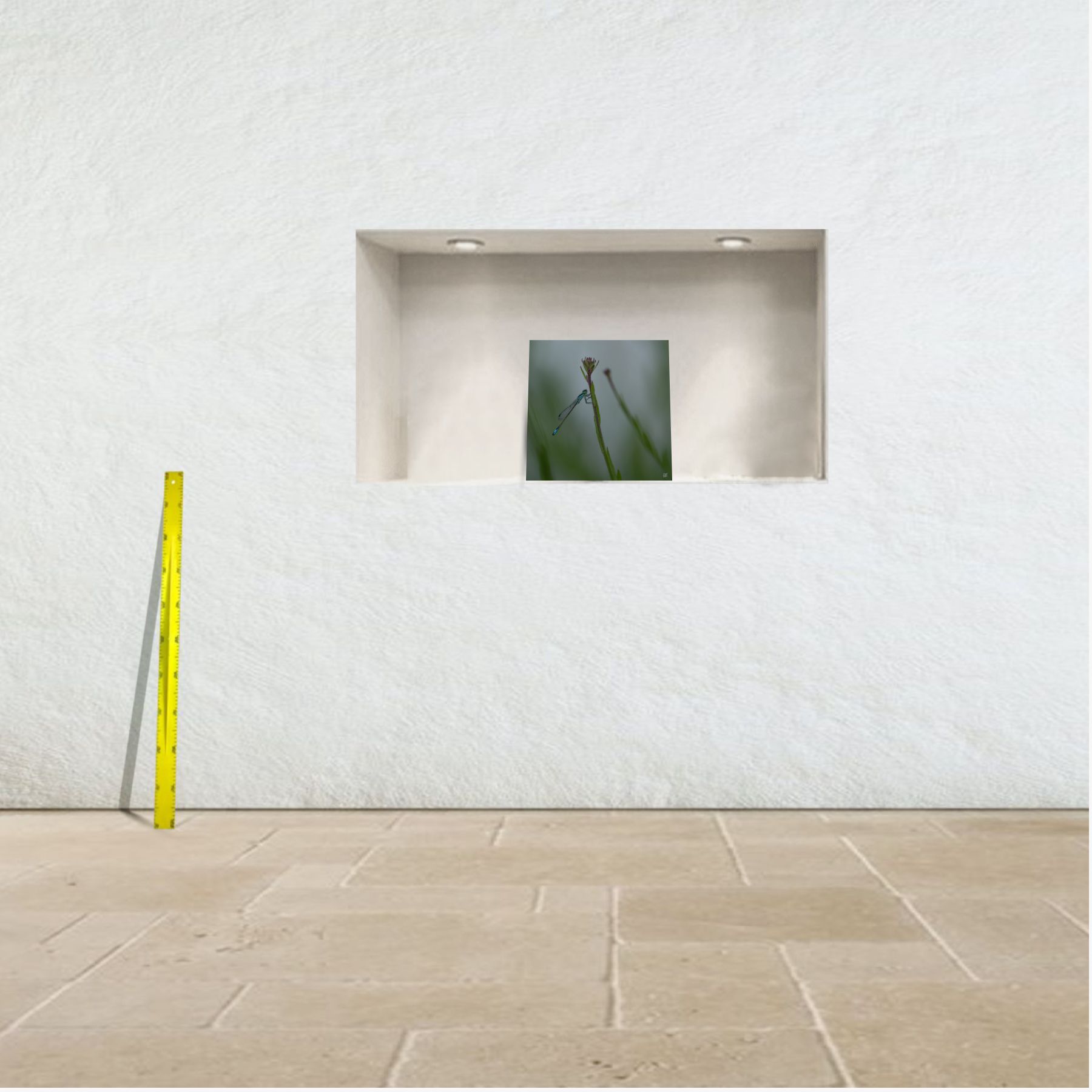 ave domnicella ~ affiche (40 x 40 cm) – Image 3