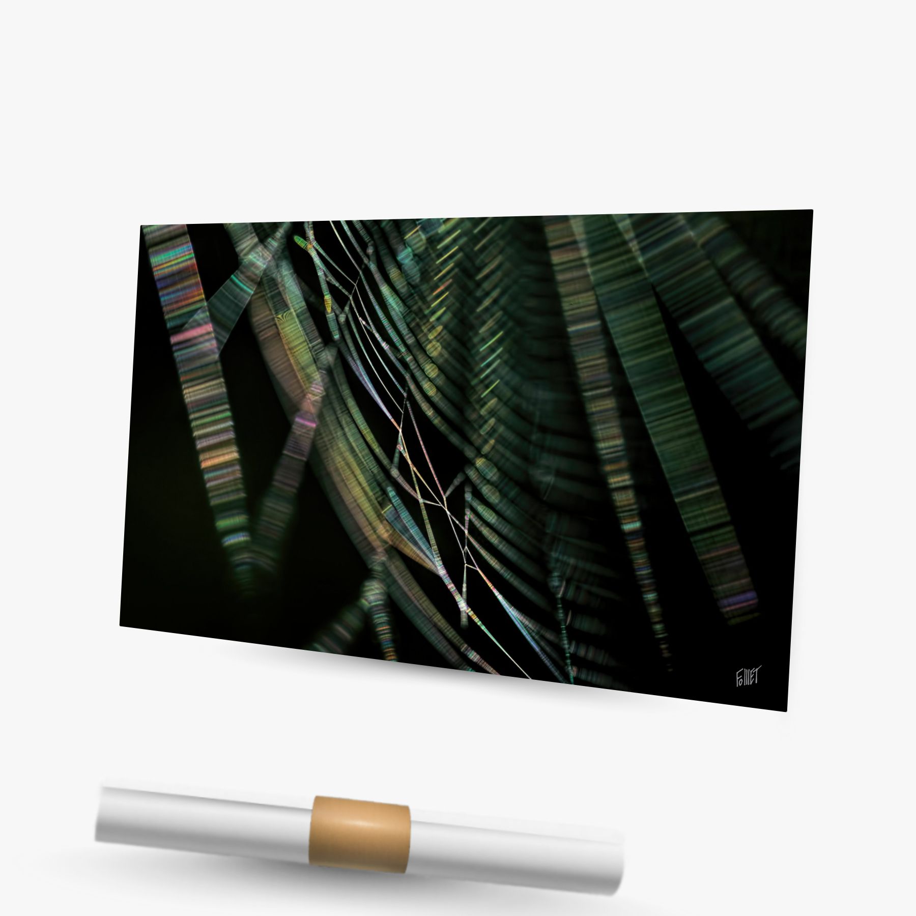 Last Spider Drawing 2 ~ affiche (45 x 30 cm) – Image 2