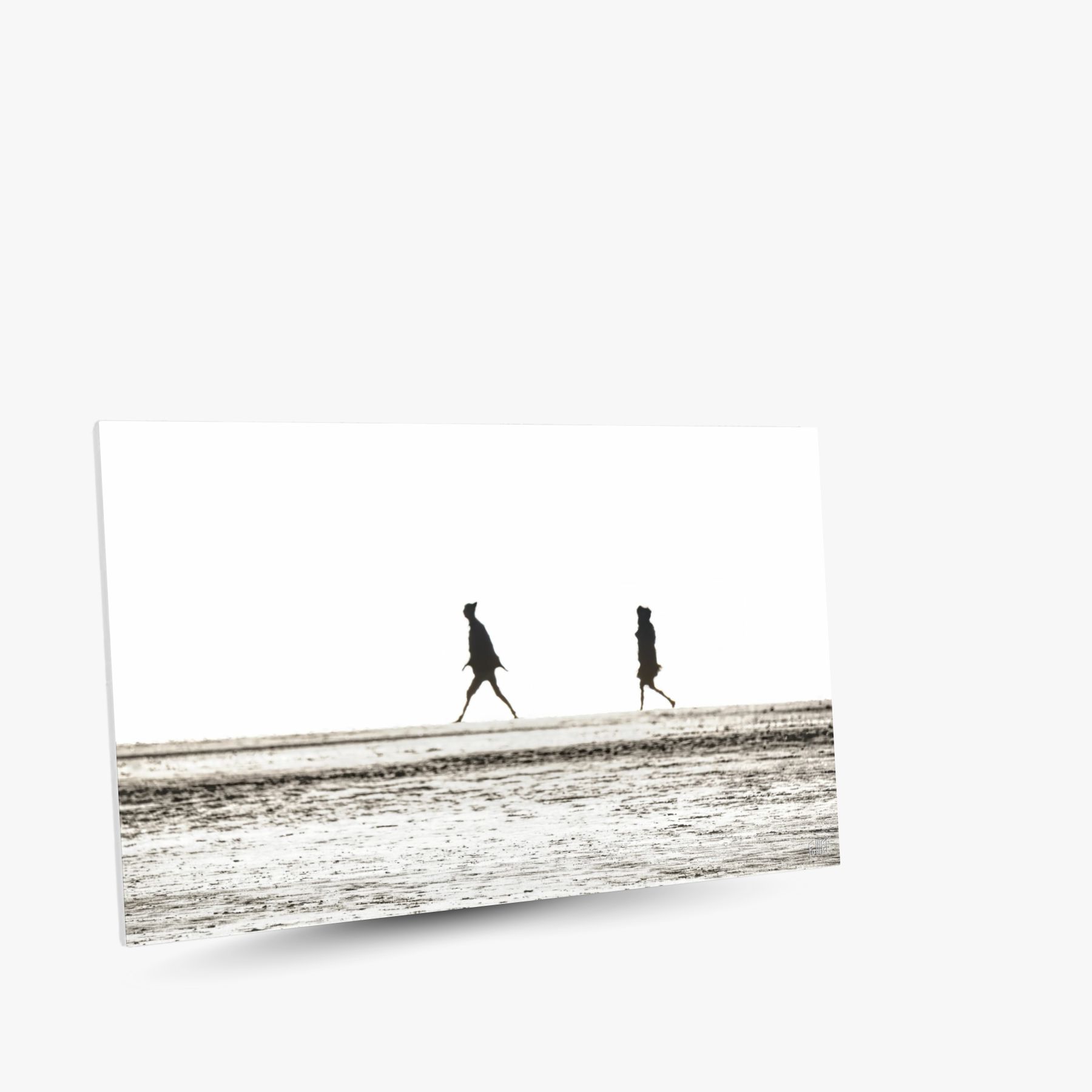 flash-back ~ toile (90 x 60 cm) – Image 2