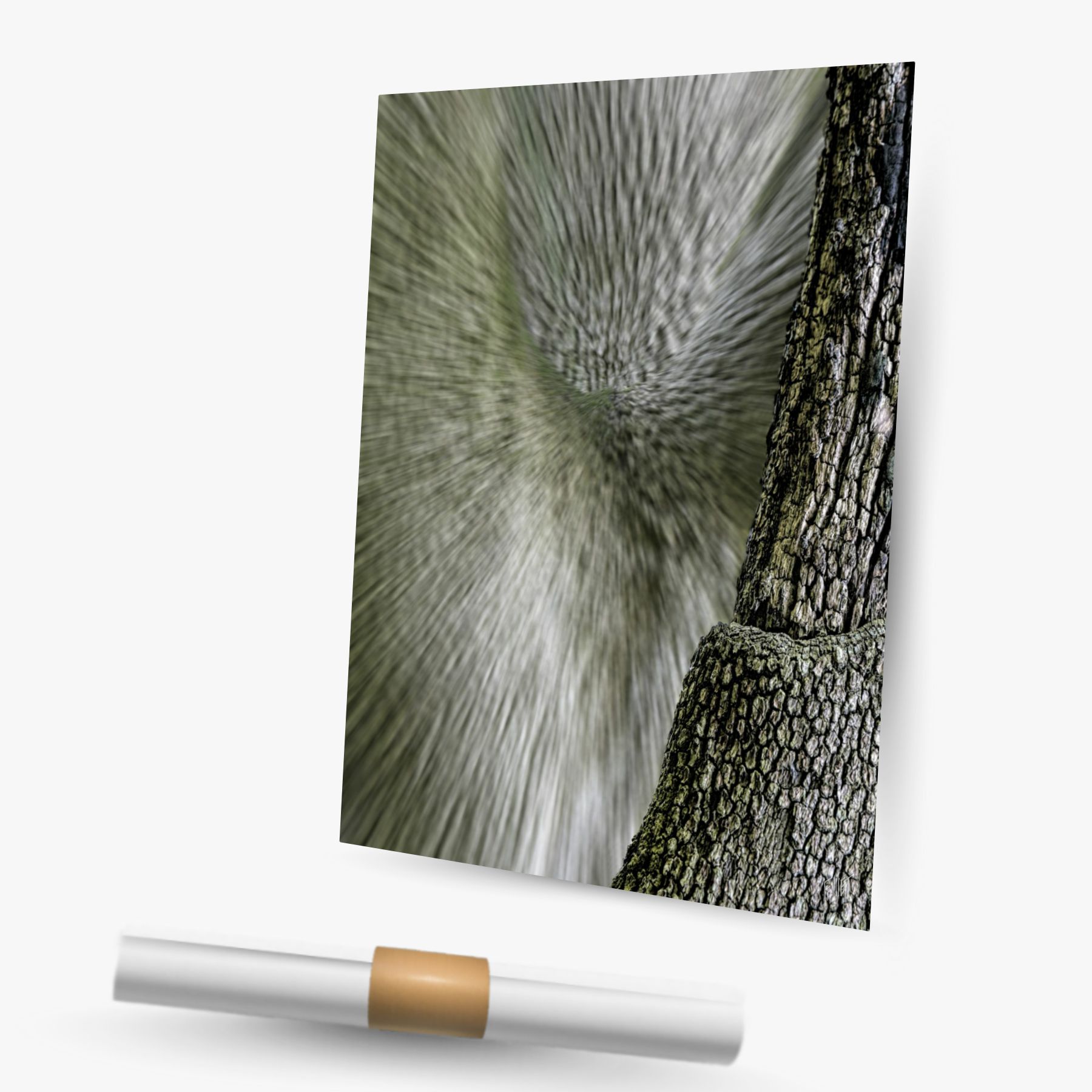 vortex cortical ~ affiche (30 x 45 cm) – Image 2