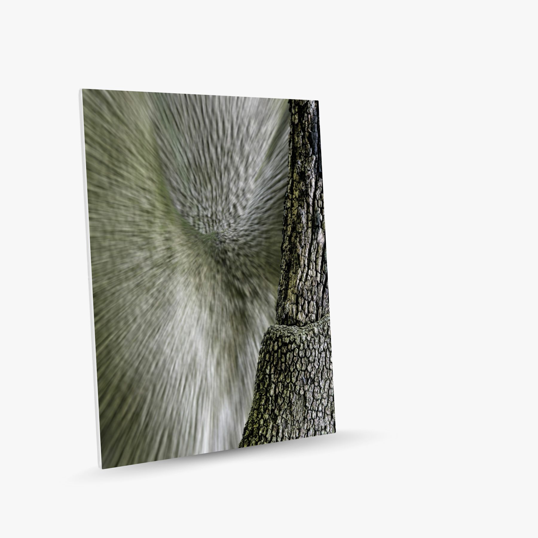 vortex cortical ~ toile (60 x 90 cm) – Image 2