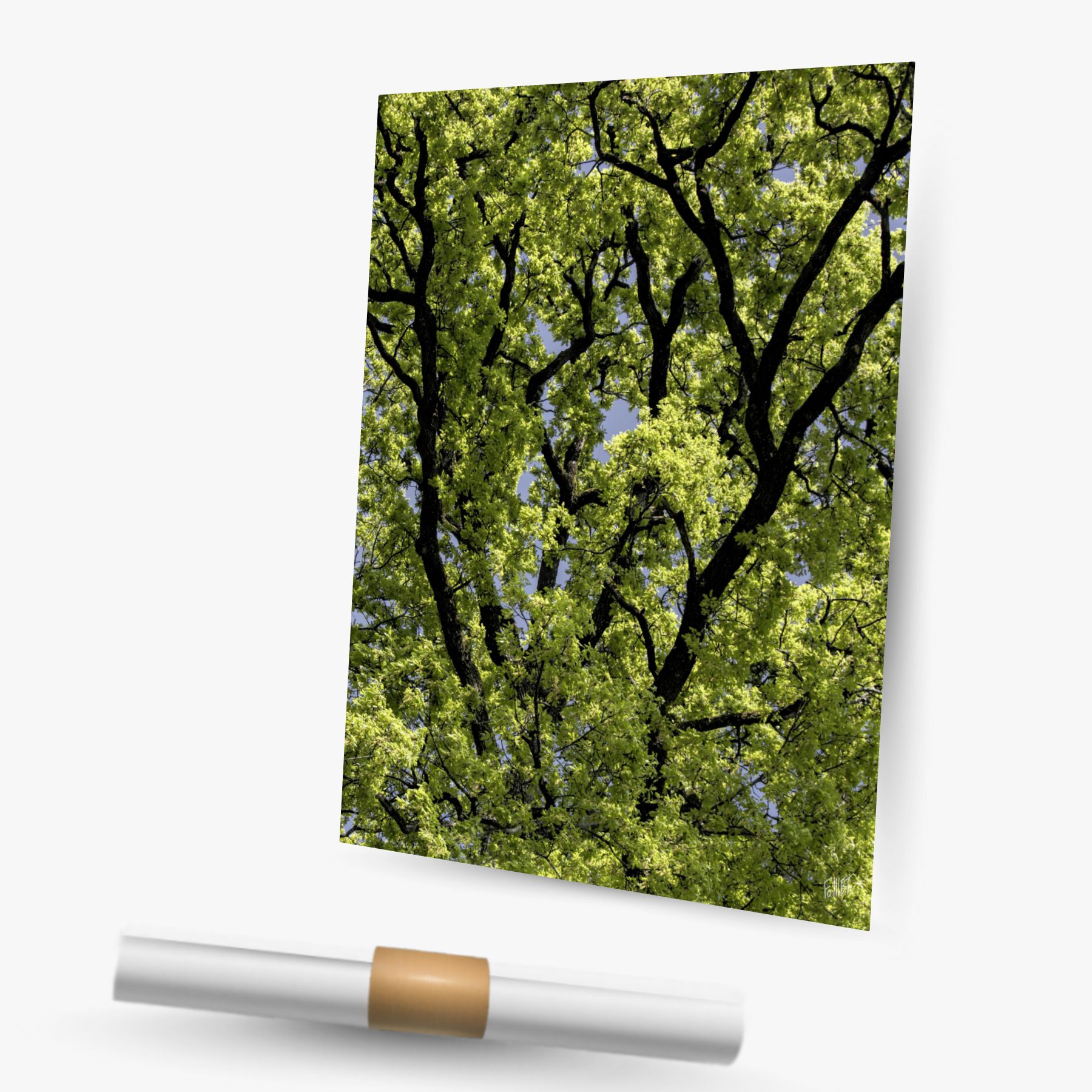 réticulair 1 ~ affiche (30 x 45 cm) – Image 2