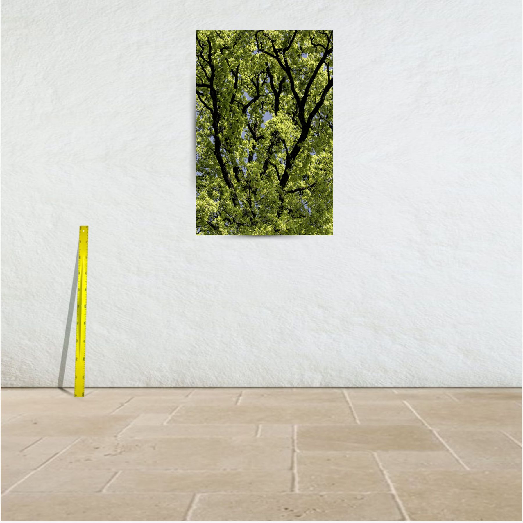 réticulair 1 ~ affiche (80 x 120 cm) – Image 3