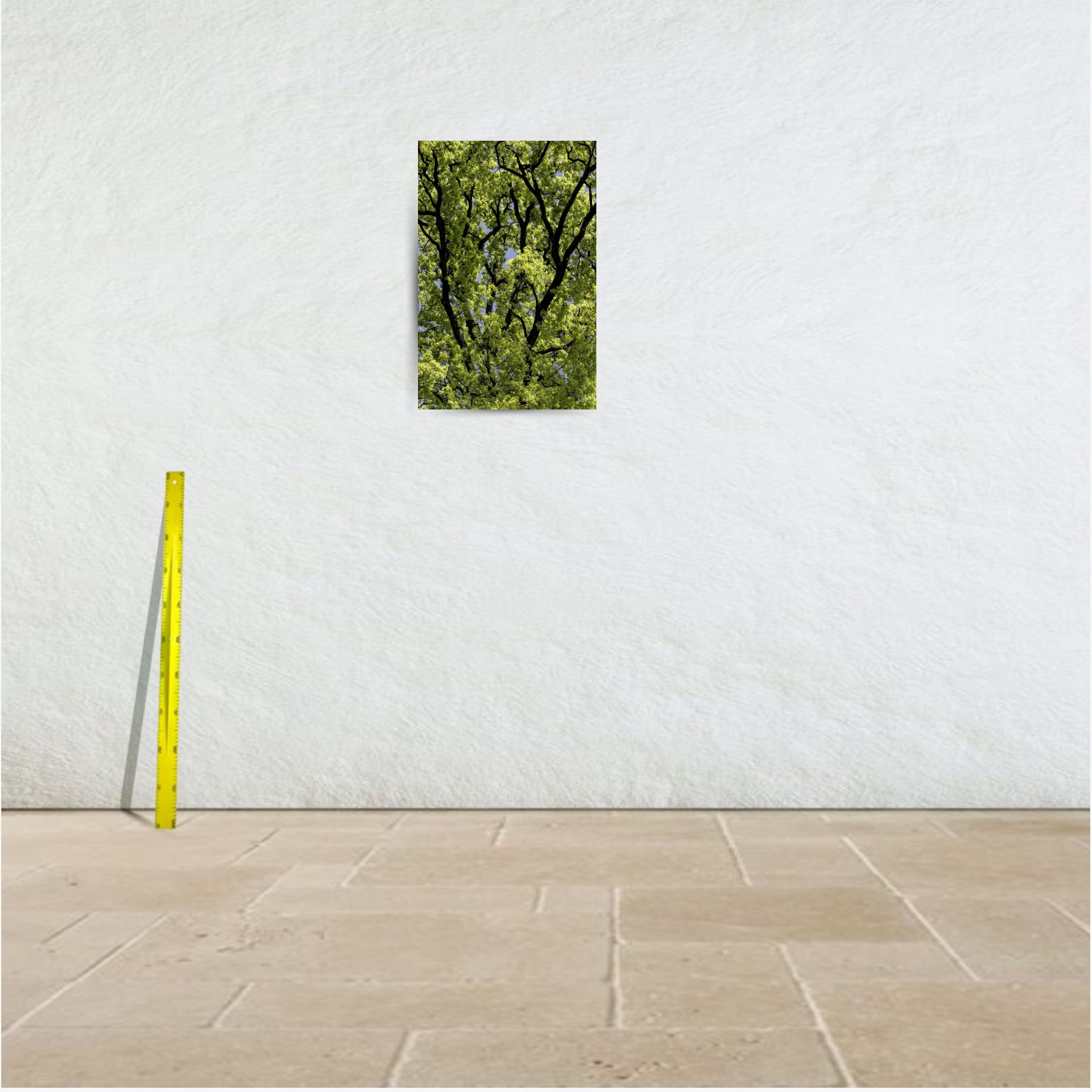 réticulair 1 ~ affiche (50 x 75 cm) – Image 3