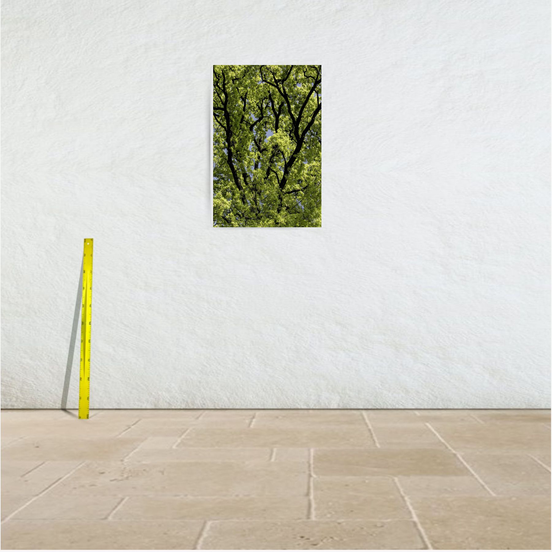 réticulair 1 ~ toile (60 x 90 cm) – Image 3