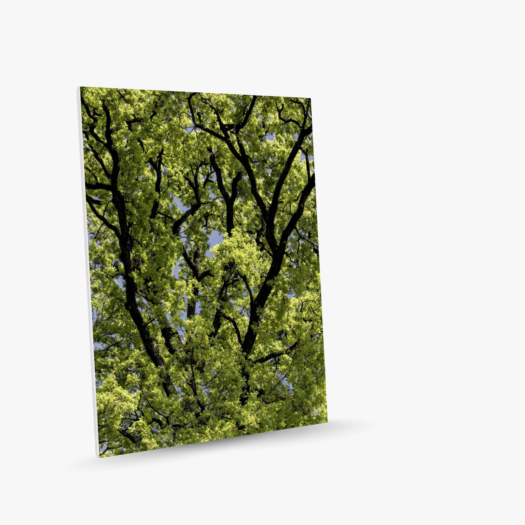 réticulair 1 ~ toile (60 x 90 cm) – Image 2