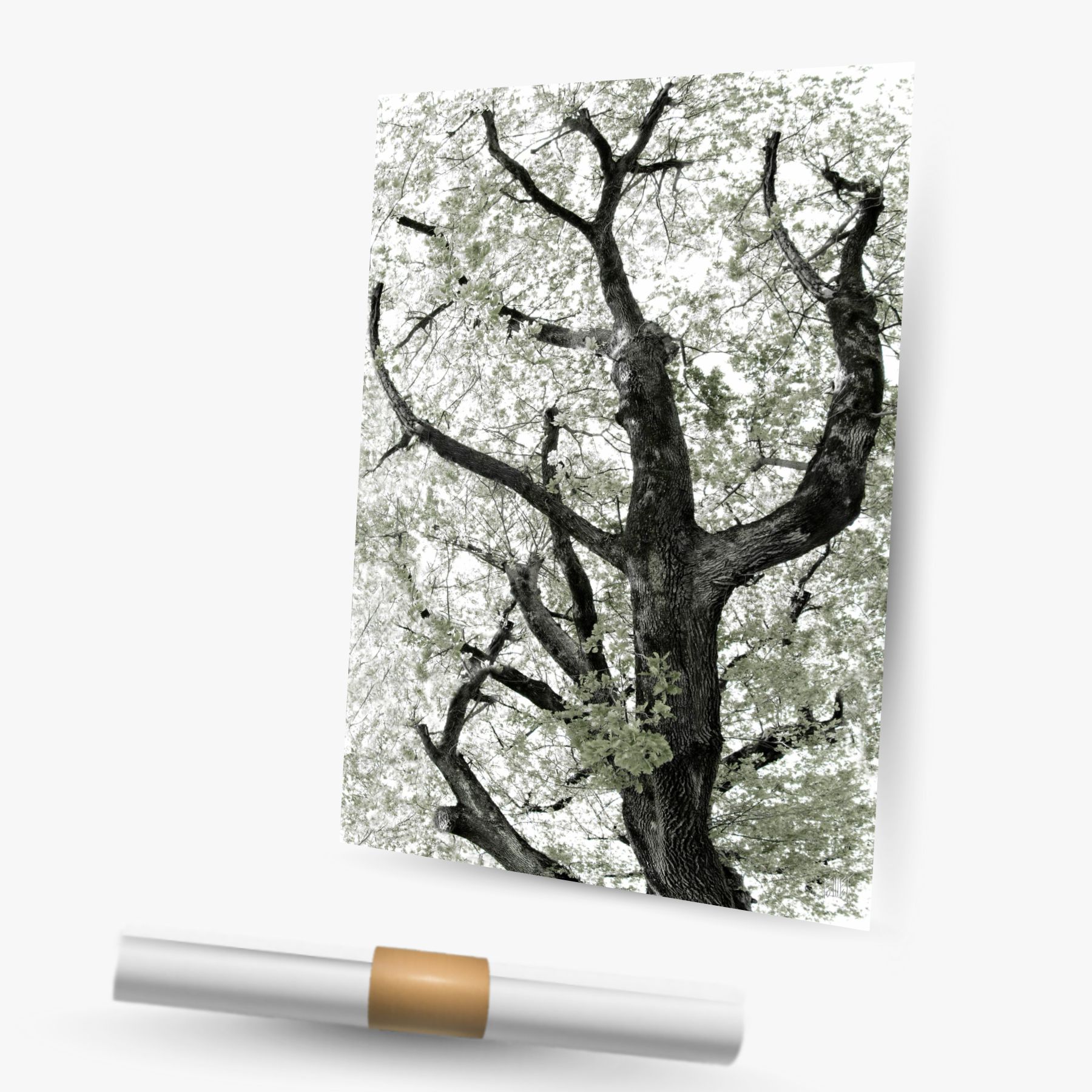 réticulair 2 ~ affiche (30 x 45 cm) – Image 2