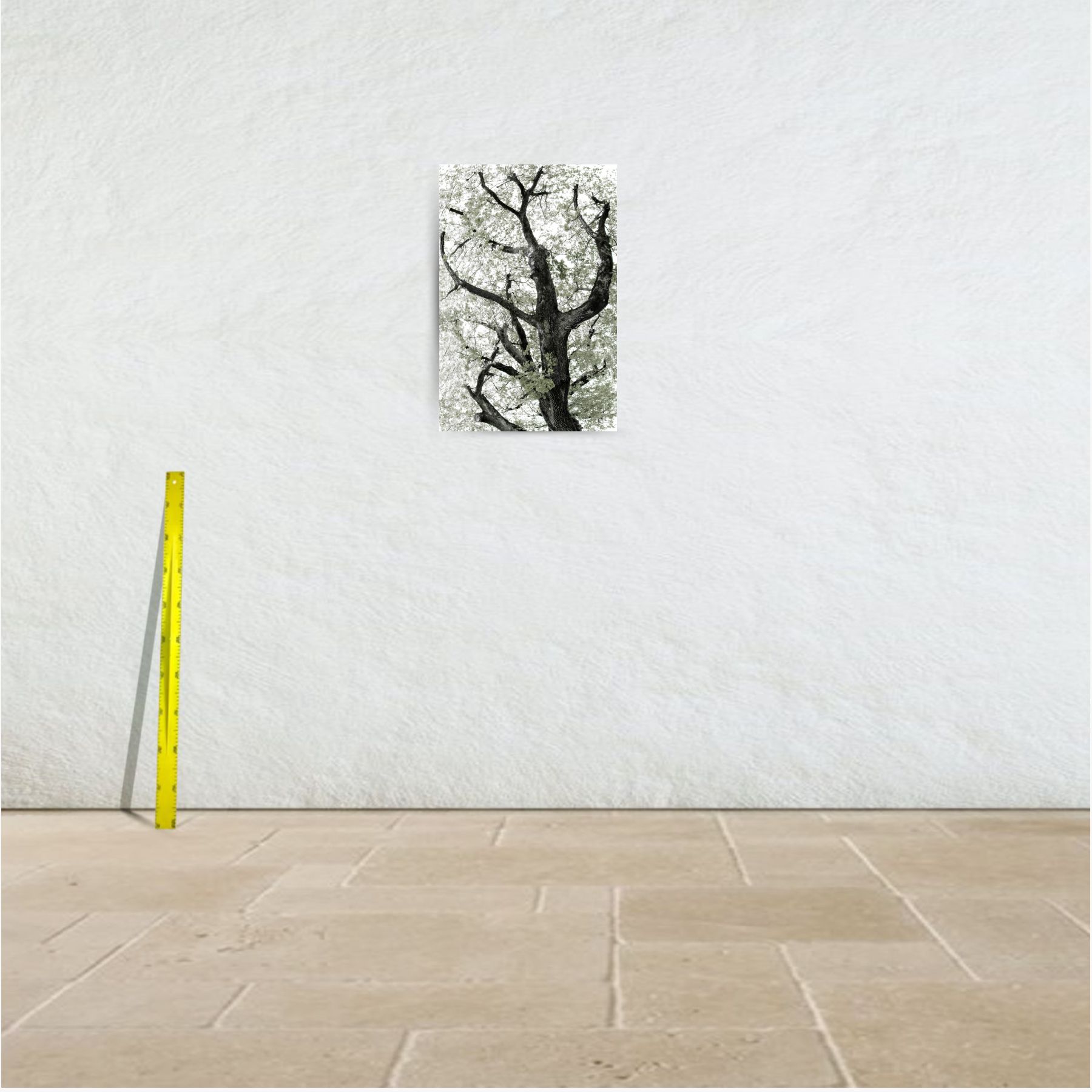 réticulair 2 ~ tirage limité n° 3/20 (50 x 75 cm) – Image 3