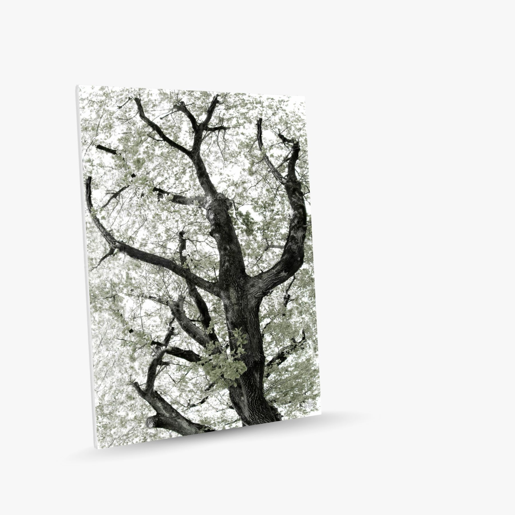 réticulair 2 ~ toile (80 x 120 cm) – Image 2