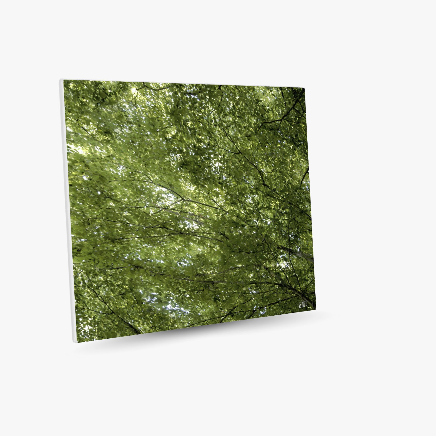 brise légère ~ toile (80 x 80 cm) – Image 2