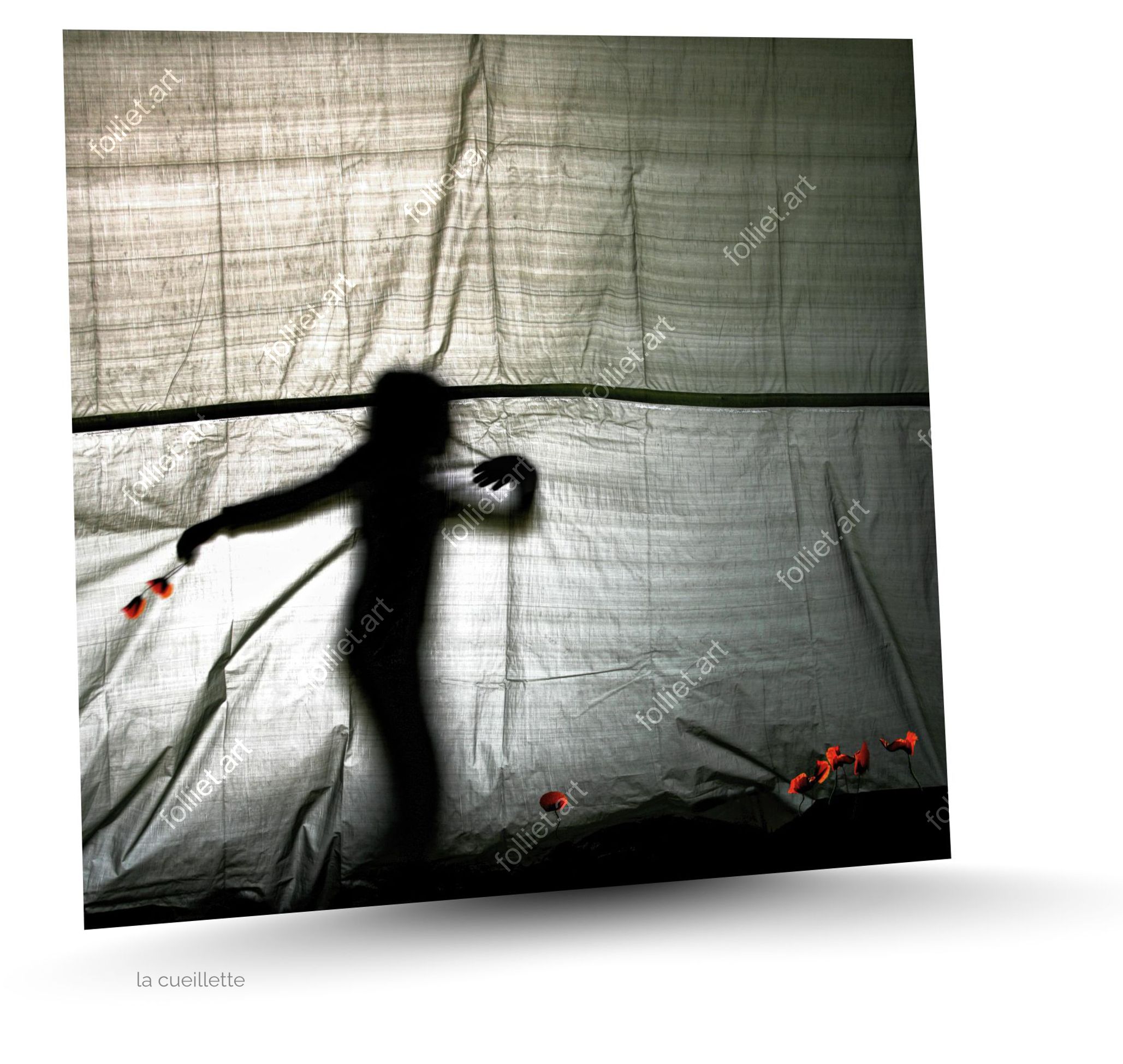 Jeune fille qui cueille des coquelicots sur fond de bâche industrielle - photographie d'art signée Folliet