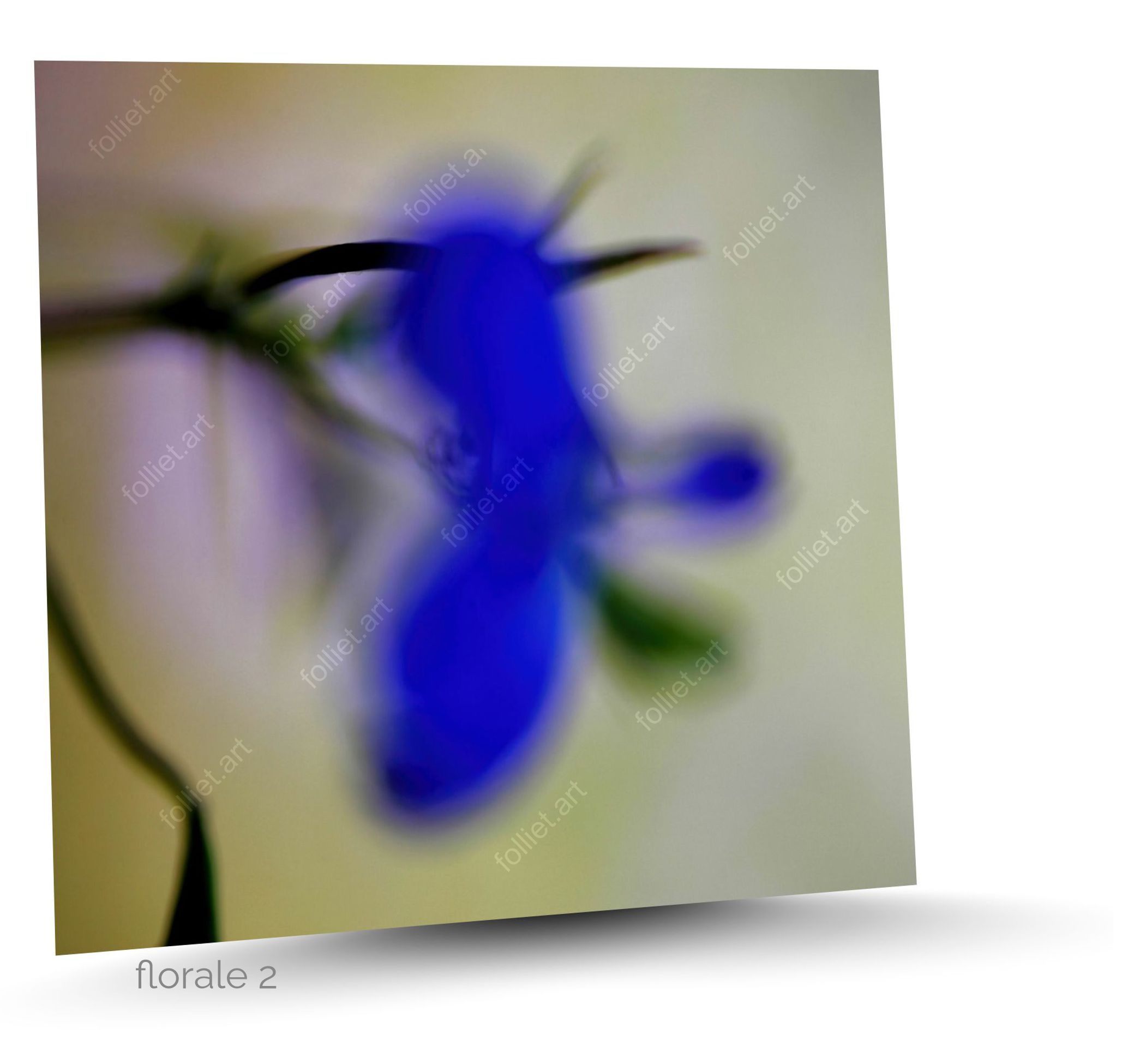 Close-up of a blurred blue flower on soft green background - fine art photography signed folliet