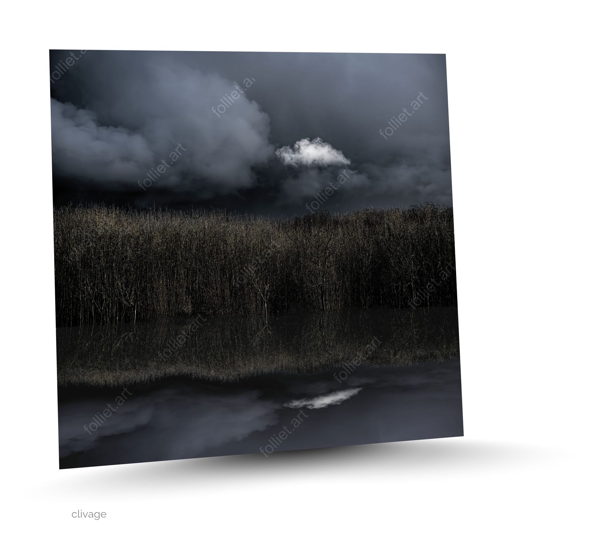 Orage reflété dans une eau calme avec végétation sèche et dense - photographie d'art signée Folliet