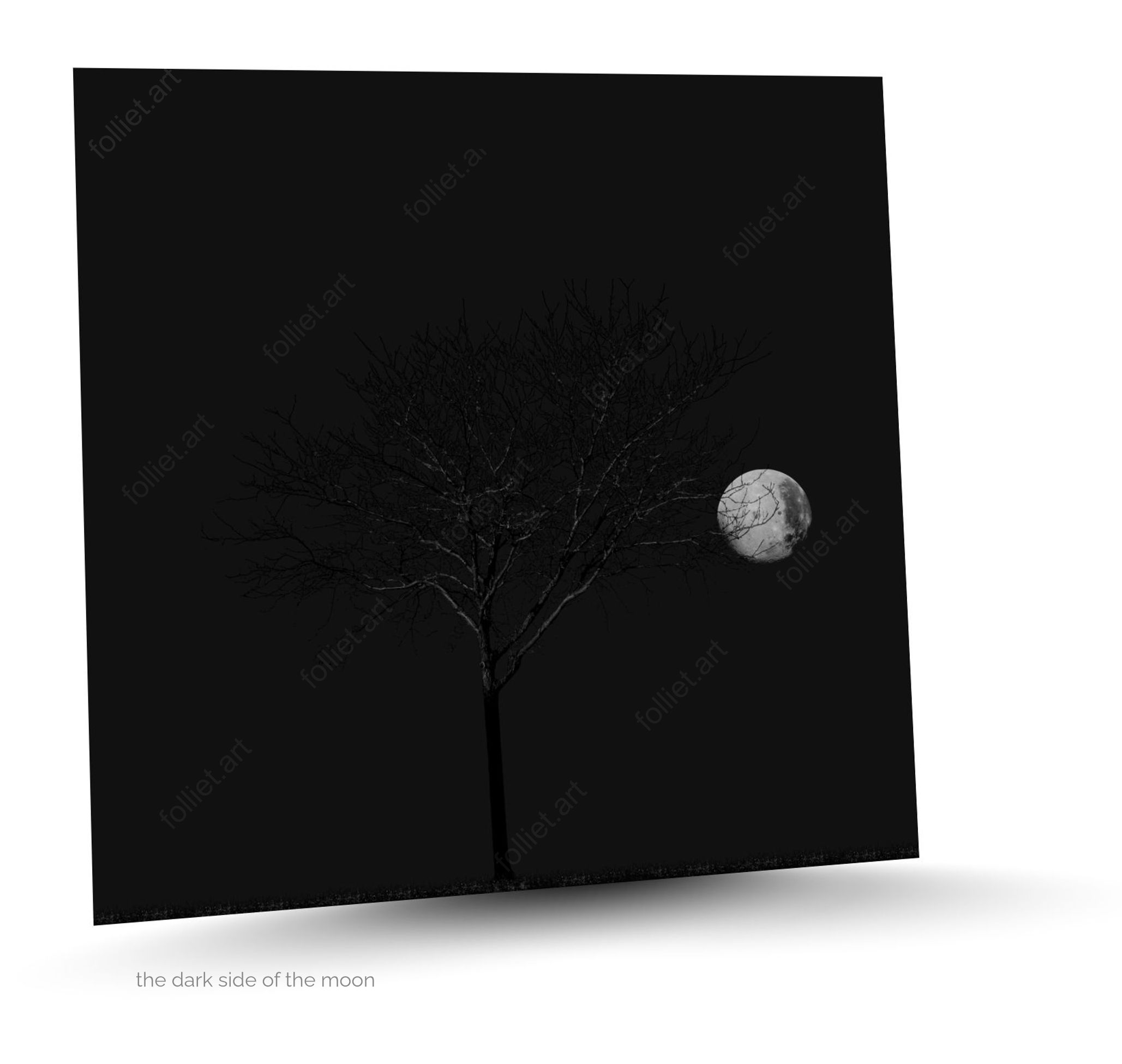 Silhouette d'arbre et une pleine lune montrant sa face cachée - photographie d'art signée Folliet