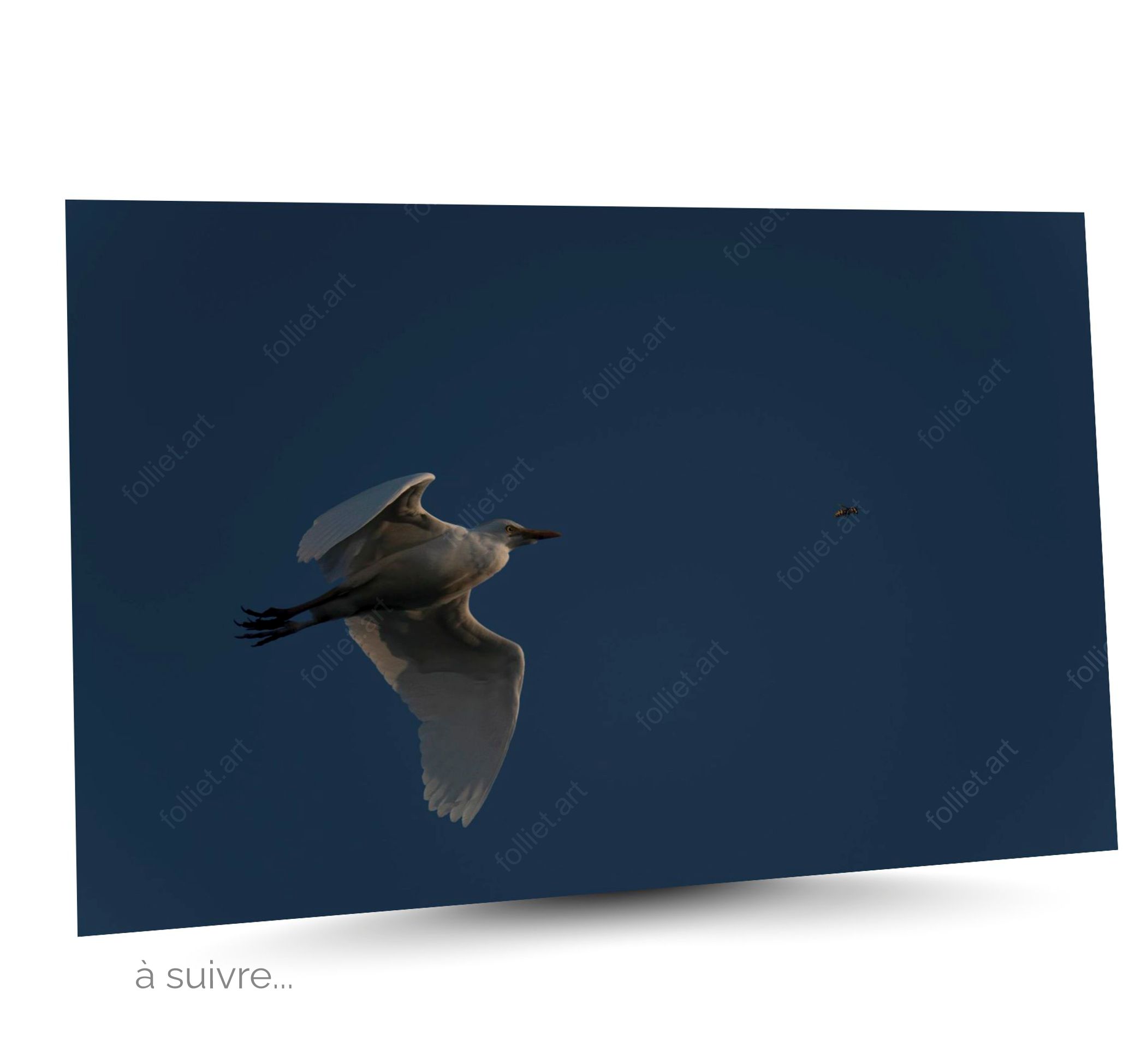 Heron hunting a hornet under a deep blue sky at dusk – Fine Art Photography by Folliet